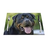 Rottweiler-Tapeten-Druck-Tischset, 45,7 x 30,5 cm, hitzebeständig, rutschfest, PVC-gewebt, Platzsets für Küche, Esszimmer, Tischdekoration, Zubehör