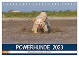 POWERHUNDE 2023 (Tischkalender 2023 DIN A5 quer), Calvendo Monatskalender