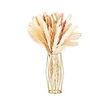 EylKoi Vase Gold mit Geometrische Metallgestell Goldene Vase, Große Vase Pampasgras, Moderne Große Vasen für Wohnzimmer, Vasen, Draht für Pampasgras, Zuhause, Regal, Hochzeit, Esstisch, H: 27 cm