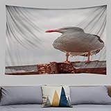 Möwe Wandteppich Wandtuch Stranddecke Wanddeko ​Wandkunst Dekor für Schlafzimmer Wohnzimmer aus Weiches Mikrofaser Stoff Waschbar ohne Verblassen Digitaldruck 180X230cm