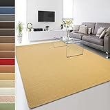Floordirekt 100% reines Sisal - Sisalteppich - Teppich für Wohnzimmer - Naturfaser - Läufer (Natur, 200 x 300 cm)