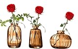 Vasen 3er-Set Kleine Blumenvasen aus Glas Braun, Mini-Vasen Glasfläschchen, Moderne Home Decor, Vasen Decor für Tischmitte, Hochzeit, Schlafzimmer, Taufe, Geburtstag, Geschenk zum Muttertag-