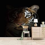 LYSYMO Fototapete Tier Tiger Muster Tapete Fototapete Abnehmbare Moderne Wandaufkleber TV-Hintergrund Weihnachtsdekoration 150x105cm
