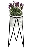 DanDiBo Blumenhocker mit Topf Metall Schwarz Weiß S 50 cm Blumenständer 96043 Blumensäule Modern Pflanzenständer Pflanzenhocker