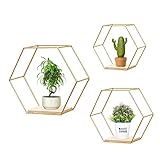 Umelee Set aus 3 Hexagon-Wandregalen, Schwebenden Regalen, Metall- und Holz-Hängeregalen für Schlafzimmer, Bad, Wohnzimmer, Küche, Waschküche, Aufbewahrung & Wanddekoration (Gold)