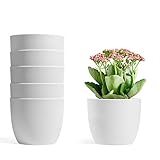 T4U 12cm Selbstwässernder Blumentopf Weiß 6er-Set, Selbstbewässerung Wasserspeicher Pflanzgefäß Übertopf für Innen- und Außenbereich