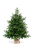 EveXmas- Altair -90cm- Hochwertiger künstlicher Weihnachtsbaum – Einfach zu montieren Wunderschöne Baumspitzen aus 100% PE - Sehr natürlich aussehender Baum