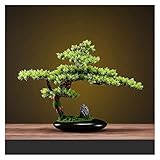 Künstlicher Bonsai-Baum künstlicher japanischer Bonsai-Baum im ovalen schwarzen Keramiktopf, 42,9 cm hoch dekorative Kunstpflanzen Gefälschter Bonsai-Baum Künstliche Pflanzen Dekor (Farbe: Gold)