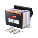 ThinkTex Accordian Aktenordner, 12 Fächer, erweiterbare Aktenordner, tragbarer Monats-Rechnungsbeleg-Organizer, bunte Register, Letter/A4-Format