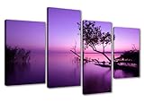Visario Bilder und Kunstdrucke auf Leinwand 130x80 cm Bild Nr 6177 Pink Lila See fertig gerahmt 4 Teile Marke original