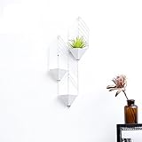 INTASHJ Wandregal Lagerregal LOFT Regal Multifunktionale Gitter Eisen Küchenleiste Wand-Cube Regal Bücherregal Eisen Separator Floating Einheit Rahmen Wanddekoration (Farbe : C)
