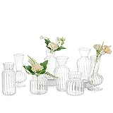 Kleine Vasen Hochzeit Tischdeko Vintage, 8 Teilig Mini Vase Glas Blumenvase Modern Set Hydroponic Glasvase Fuer Blumen Deko Hochzeit Tisch Wohnzimmer Couchtisch Badezimmer