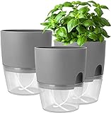 iDattel Kräutertopf Küche Set Fensterbank selbstbewässernd-3er Set Kräutergarten für die Küche,18.2X 11x 15.3 cm, für frische Küchenkräuter, Grau