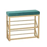 Schuhregal Schuhschrank Schuhablage Schuhständer for den Eingang, 2 Tier-Schuh Rack-Bank for Schrank, Metallschuh-Regal-Speicherorganisator for Wohnzimmer, Flur Schuhständer Schuhablagen ( Color : A )