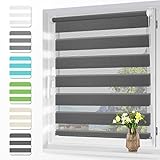 Zarnan Klemmfix Doppelrollo ohne Bohren 80x120cm(BxH) Anthrazit,Duo Rollo Blickdicht Zebrarollo Rollos für Fenster ohne Bohren für Wohnzimmer Küche Büro lichtdurchlässig und verdunkelnd