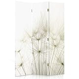 Feeby Paravent Pusteblume 110x150 cm 3 Teilig Modern Design einseitig Raumteiler Wandschirme Foto Trennwand Raumtrenner Sichtschutz Spanische Wand auf Leinwand Bedruckt Löwenzahn Natur Pflanzen Weiß