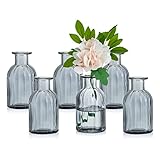 Glasseam Kleine Vasen Set Glasvase, 6 Stück Mini Blumenvase Grau Vintage Vase Glas Rund Glasvasen Flaschenvase Bunt Klein Geriffelte Tischvase Vasenset Glasflasche Deko für Hochzeit Tischdeko