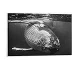 HOWDA Wanddekoration Wandbilder Schwarz Weiß Wal Buckelwal Schwimmen Leinwand Poster Schlafzimmer Dekor Sport Landschaft Büroraum Dekor Geschenk Leinwand Poster (40x60cm Kein Rahmen)