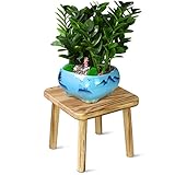 Blumenständer Holz Kreativer Blumenhocker für Hoher Pflanzenhalter Pflanzenhalter Moderner Pflanzenständer Multifunktionaler Kleiner Blumentisch für Wohnzimmer Schlafzimmer Balkon Drinnen und Draußen