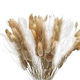 MOERAE 60 Stück 44cm Kaninchenschwanz-Getrocknete Blumen, Natürliche Trockenblumen Pampasgras Getrocknet Trockenblumen, Flauschige Trockenblumen für Hochzeit Hause Party Büro Fotografie Vase Deko