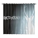 LKFFHAVD Harry Potter Verdunkelungsvorhang-Set, 3D Druck Hogwarts School Vorhänge-2er Set, Für Schlafzimmer Kinderzimmer Schiebegardine Blickdicht (150×166(BxH), 1)