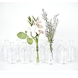 gouveo 12er Set Glasvasen Apo 100 - Runde Blumenvasen aus Glas - Kleine Deko-Vasen für Zuhause, Hochzeiten, Geburtstage, Feste