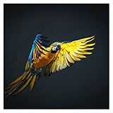 DecoCat Herdabdeckplatte Ceranfeld 60x60 cm Einteilig Papagei Ara Vogel Schwarz (02546) Schneideplatte Glas Kochfeldabdeckung Herdabdeckung Induktionsschutz