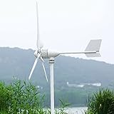 Windkraftanlage 2000W Windgenerator 24V 48V Windturbine 3-Klingen Windkraft Generator -mit MPPT Laderegler Stromwindrad Wind Stromerzeuger für Heimen Wohnmobilen