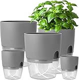 iDattel Kräutertopf Küche Set Fensterbank selbstbewässernd-5er Set Kräutergarten für die Küche,15.3/10.5/8.2cm, für frische Küchenkräuter, Grau