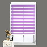 Zebra Rollos Für Fenster,Tag- Und Nachtvorhänge,Zweilagige Horizontale Mini-Rollos,Lichtdurchlässig & Verdunkelnd,Sonnenschutz-Rollos Für Innenräume,Anpassbare Größe,WxH-45x150cm/17.7x59in