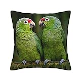 Zwei Papageien auf grüner Palme, dekorative Kissenbezüge für Wohnzimmer, Schlafzimmer, Sofa, Couch, Bett, Auto, 30/40/45/50 cm, ohne Kissen, 45,7 x 45,7 cm