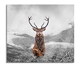 Pixxprint Majestätischer Hirsch in Berglandschaft B&W Detail Herdabdeckplatte & Spritzschutz aus Echtglas | Für Herd-Kochfelder | 60x52 cm