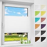 Plissee Klemmfix ohne Bohren, Weiß 60 x 120 cm (BxH), Faltrollo Plisseerollo mit Klemmträger, Jalousie Rollos für Fenster und Tür, Sichtschutz und Sonnenschutz