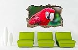 Wandtattoo Papagei 3D Zertrümmerte Wandaufkleber Aufkleber Home Decor Art Wandbild Tiere Vögel J757