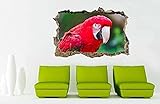 Wandtattoo Papagei 3D Zertrümmerte Wandaufkleber Aufkleber Home Decor Art Wandbild Tiere Vögel J757