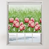 Rollos für Fenster Ohne Bohren Rollos mit Tulpenmuster und Beschlägen, Grün-rosa Rollos für Schlafzimmerfenster/Wohnzimmer/Kellerfenster/Wohnmobil, Kein Licht (Size : 80cmx100cm/31.5inx39.4in)