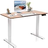 DCHOUSE Schreibtisch Höhenverstellbar Elektrisch 120x60 cm, Höhenverstellbarer Schreibtisch Gestell Ergonomischer Tisch Computertisch Höhenverstellbar Stehschreibtisch Height Adjustable Standing Desk