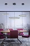 LED Pendelleuchte Ø 60cm TITUS 2382-13 Paul Neuhaus