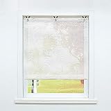 SCHOAL Raffrollo ohne Bohren Raffgardinen Ausbrenner Gardinen Transparent Ösenrollo Weiß Vorhänge mit Ösen 1 Stück BxH 80x130 cm Muster #2