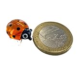 Bastick Marienkäfer Mini Orange Schwarz - Miniatur Figur aus Glas - Deko Setzkasten Vitrine Glücksbringer