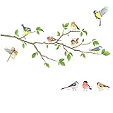 DECOWALL DA-1804 Garten Vögel auf Ast Wandtattoo Wandsticker Wandaufkleber Wanddeko für Wohnzimmer Schlafzimmer Kinderzimmer