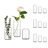 Handmade Glasvase Zylinder Tischdeko Modern: 12er Glasseam Blumen Vase Glas Rund Vasen Deko Set Schmal Blumenvase Kleine Tulpenvase Rosenvase Glaszylinder für Hochzeit Wohnzimmer Tulpen Rose