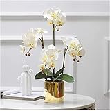 FURLOU Handgefühl Phalaenopsis Simulation Blumen 4 Zweige, mit goldenen Blumentöpfen, geeignet für Wohnzimmer, Couchtisch, Esstisch, Café(Color:White)