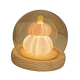 Baoblaze Dekorative Tischleuchten, Tischlampe, Schlafzimmer, Muschel, Hochzeit, modern, Party, mit LED-Funktion, Neuheit, Geburtstagsgeschenk, 2 Layer, kein USB