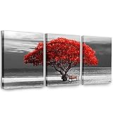 hyidecorart Bilder Baum Rote, Bäume Natur Leinwand Bilder, 3 Teilig Wandbilder Wohnzimmer, Modern Glücksbaum Kunstdruck Wanddeko für Schlafzimmer Küche Esszimmer und Büro（30CM*40CM
