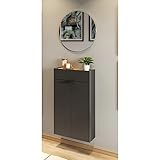 Lomadox Garderobe Flurgarderobe schmal in grau mit Eiche modern 2-teilig mit 1 Schuhschrank und 1 Spiegel