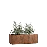 Pflanzwerk® Pflanzkübel TUB - Blumentöpfe Übertöpfe 17x50x17cm ROST *Frostbeständige Blumenkübel* *UV-Schutz* *Pflanzenkübel Premiumqualität*