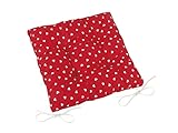 Bydlimekrasne.cz Stuhlkissen/Sitzkissen Adela 40 x 40 x 5 cm für Indoor und Outdoor/Made in EU (Herz rot/Weiss)