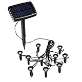 LED Solar Pflanzenstrahler klein - 10er Set - Mini Solarleuchten mit Erdspieß - Garten Balkon Terrasse Deko Beleuchtung Blumen Strahler warm weiß