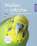 Wellensittiche: halten, pflegen, beschäftigen